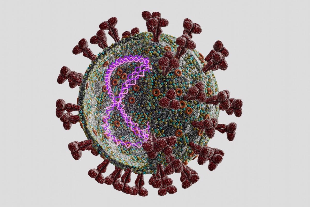 Study: COVID-19 and One-Carbon Metabolism. Image Credit: atdigit / Shutterstock.com