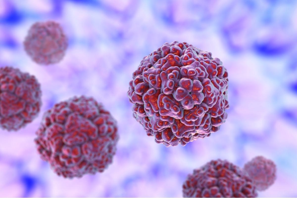 Study: Rhinovirus as the main co-circulating virus during the COVID-19 pandemic in children. Image Credit: Kateryna Kon / Shutterstock.com