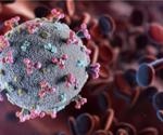 Study reports increased numbers of SARS-CoV-2-reactive T cells in individuals who were HCoV-reactive