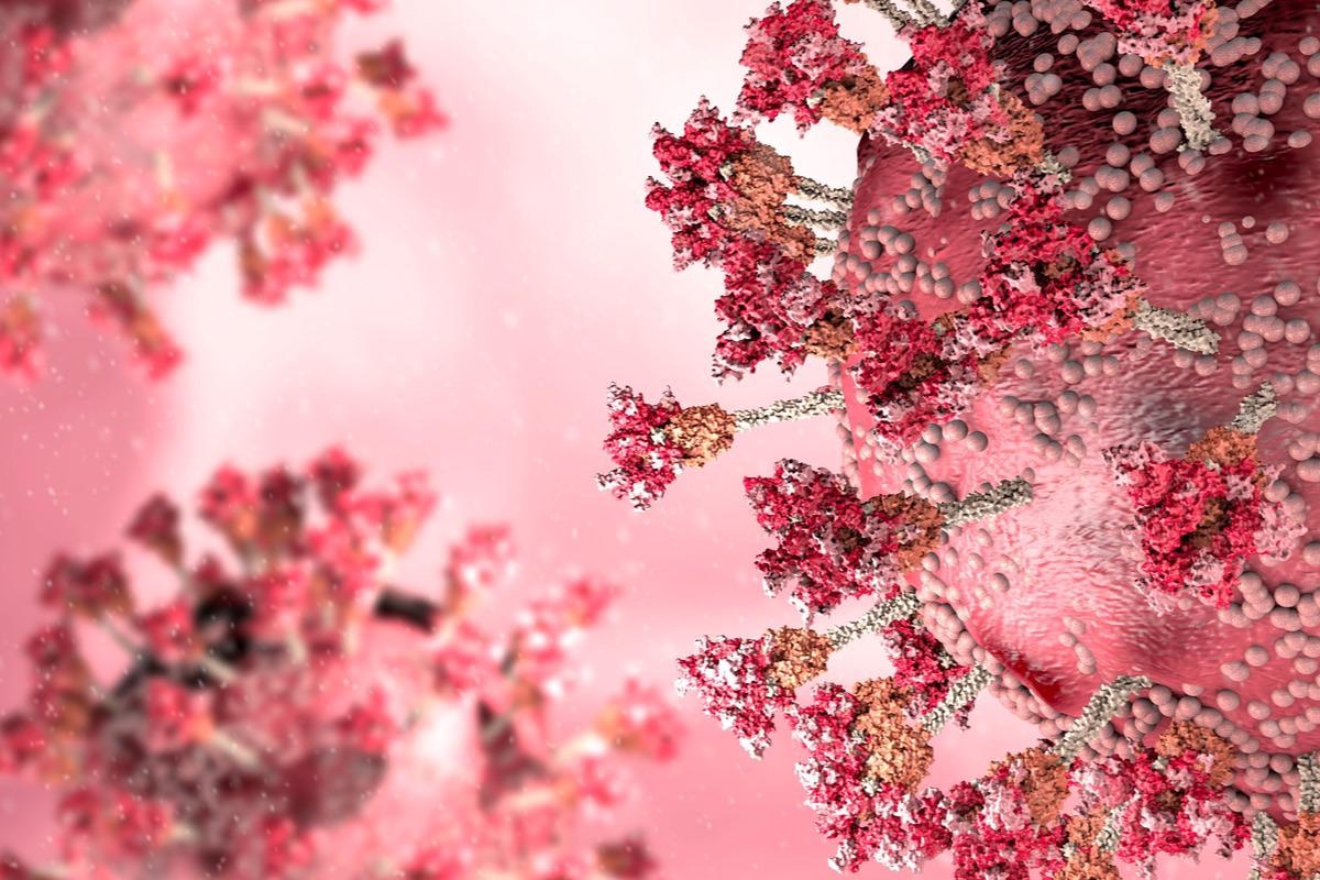 Study: BA.2 omicron differs immunologically from both BA.1 omicron and pre-omicron variants. Image Credit: Naeblys/Shutterstock