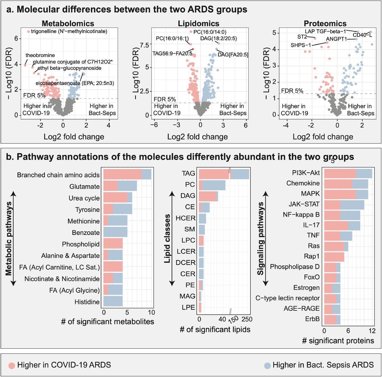 Multi-omic comparison between COVID-19 ARDS and bacterial sepsis-induced ARDS. ​​​​​​​a. Metabolomic, lipidomic, and proteomic analyses between the two ARDS groups. 706 molecules were differently abundant in the two ARDS groups. b. Functional annotations of significant molecules. Pathways and classes with at least 4 significant molecules were included in these plots. FDR – false discovery rate. Lipid class abbreviations: TAG – Triacylglycerol, PC – Phosphatidylcholine, DAG – Diacylglycerol, CE – Cholesteryl ester, HCER – Hexosylceramides, Total – total lipids, SM – Sphingomyelin, LPC – Lysophosphatidylcholine, LCER - Lactosylceramides, DCER – Dihydroceramides, CER – Ceramides, PE – Phosphatidylethanolamine, MAG – Monoacylglycerol, LPE - Lysophosphatidylethanolamine, PI - Phosphatidylinositol.