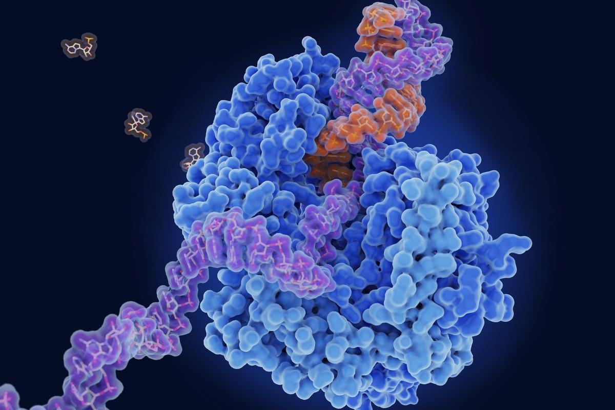 Study: Clofoctol inhibits SARS-CoV-2 replication and reduces lung pathology in mice. Image Credit: Juan Gaertner/Shutterstock