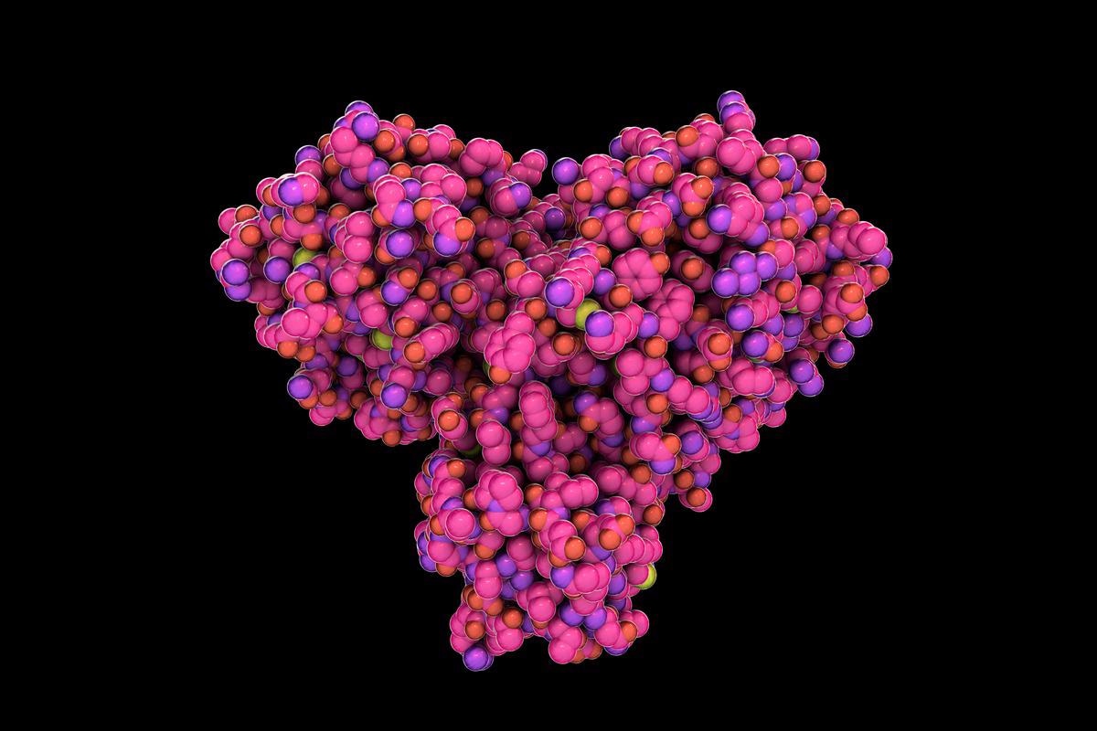 Study: Biochemical and structural insights into SARS-CoV-2 polyprotein processing by Mpro. Image Credit: Kateryna Kon/Shutterstock