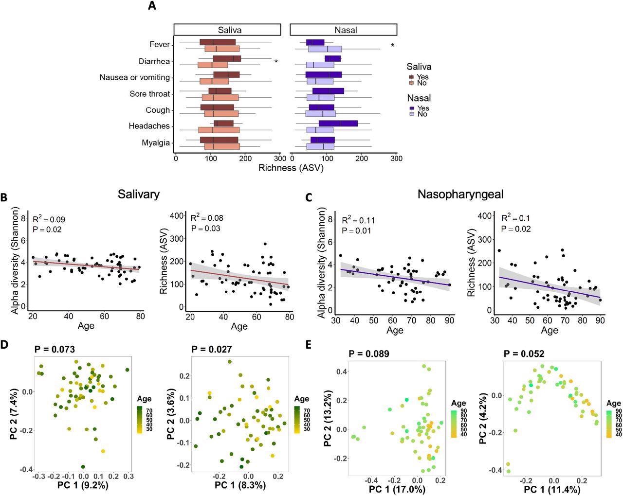 Associations between salivary and nasopharyngeal microbiomes of SARS-CoV-2-positive patients and COVID-19 symptoms and age. (A) Alpha diversity, represented by richness, in saliva (red) and nasopharyngeal swab (blue) samples, for patients with a given symptom (dark red or dark blue) or without (light red or light blue). Age versus alpha diversity represented by Shannon index and richness of salivary (B) and nasopharyngeal (C) microbial communities. Principal coordinates (PC) analysis of weighted (D, E, left) and unweighted (D, E, right) UniFrac distances for salivary (D) and nasopharyngeal (E) microbial communities with age. The shaded areas in panels B and C indicate the 95% confidence intervals. Statistical significance was assessed using the Wilcoxon signed-rank test for panel A, linear regression for panels B and C, and PERMANOVA for panels D and E. *, P < 0.05.