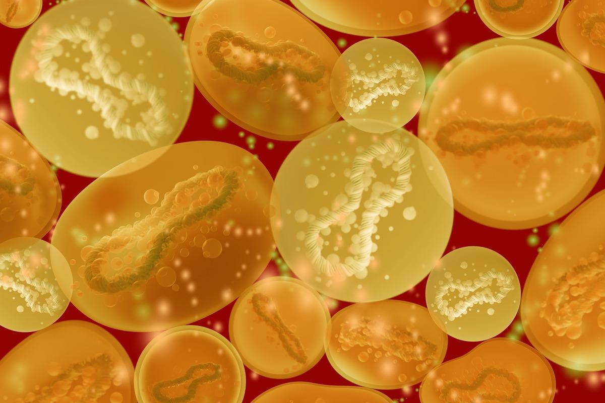 Study: The origin of the mysterious multi-country monkeypox outbreak in non-endemic countries. Image Credit: FOTOGRIN/Shutterstock