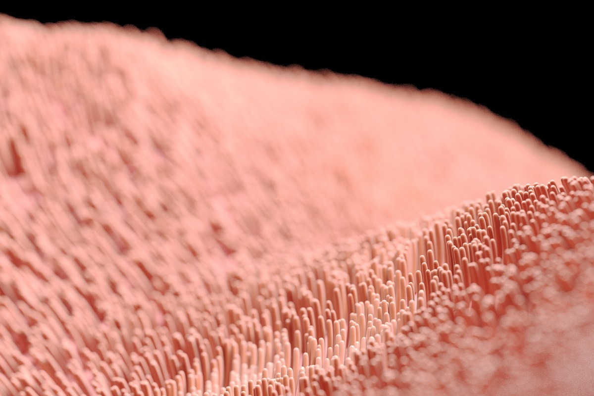 Image Credit: SciePro/Shutterstock.com