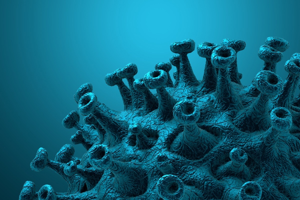 Study: Identification and Mechanistic Basis of non-ACE2 Blocking Neutralizing Antibodies from COVID-19 Patients with Deep RNA Sequencing and Molecular Dynamics Simulations. Image Credit: CROCOTHERY/Shutterstock