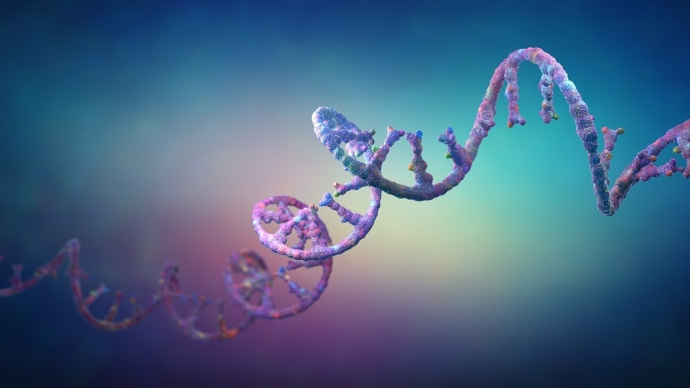 Study: Circular RNA Vaccine, A Novel mRNA Vaccine Design Strategy For SARS-Cov-2 And Variants. Image Credit: Christoph Burgstedt / Shutterstock.com