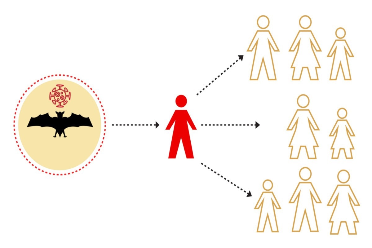 Study: The molecular epidemiology of multiple zoonotic origins of SARS-CoV-2. Image Credit: Crystal Eye Studio/Shutterstock