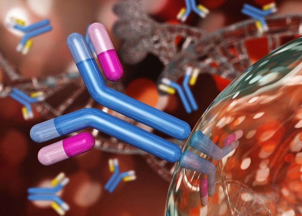 Study: SARS-CoV-2 Spike-Binding Antibody Longevity and Protection from Reinfection with Antigenically Similar SARS-CoV-2 Variants. Image Credit: ustas7777777 / Shutterstock.com