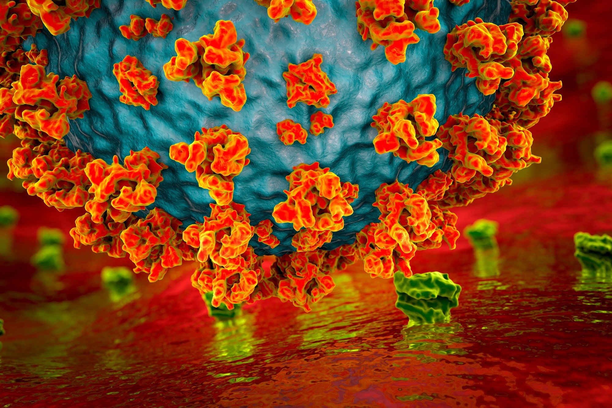 Review: SARS-CoV-2 Effects on the Male Genitourinary System. Image Credit: Kateryna Kon / Shutterstock