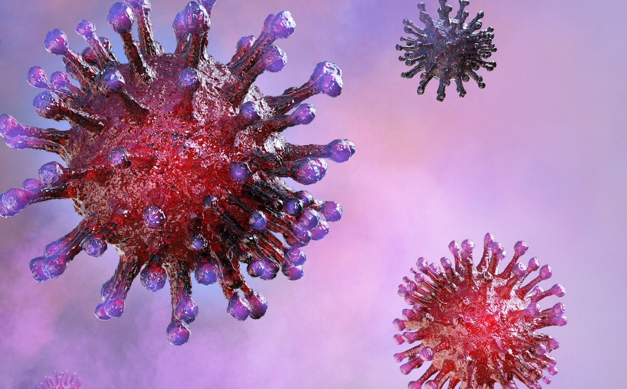 Study: Inhibition of major histocompatibility complex-I antigen presentation by sarbecovirus ORF7a proteins. Image Credit: Corona Borealis Studio/Shutterstock