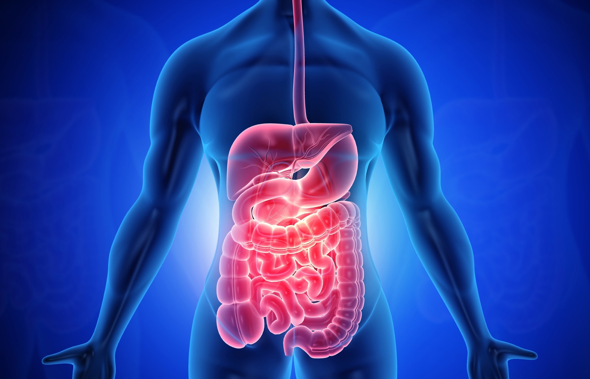 Study: Gut-innervating nociceptors regulate the intestinal microbiota to promote tissue protection. Image Credit: Explode/Shutterstock