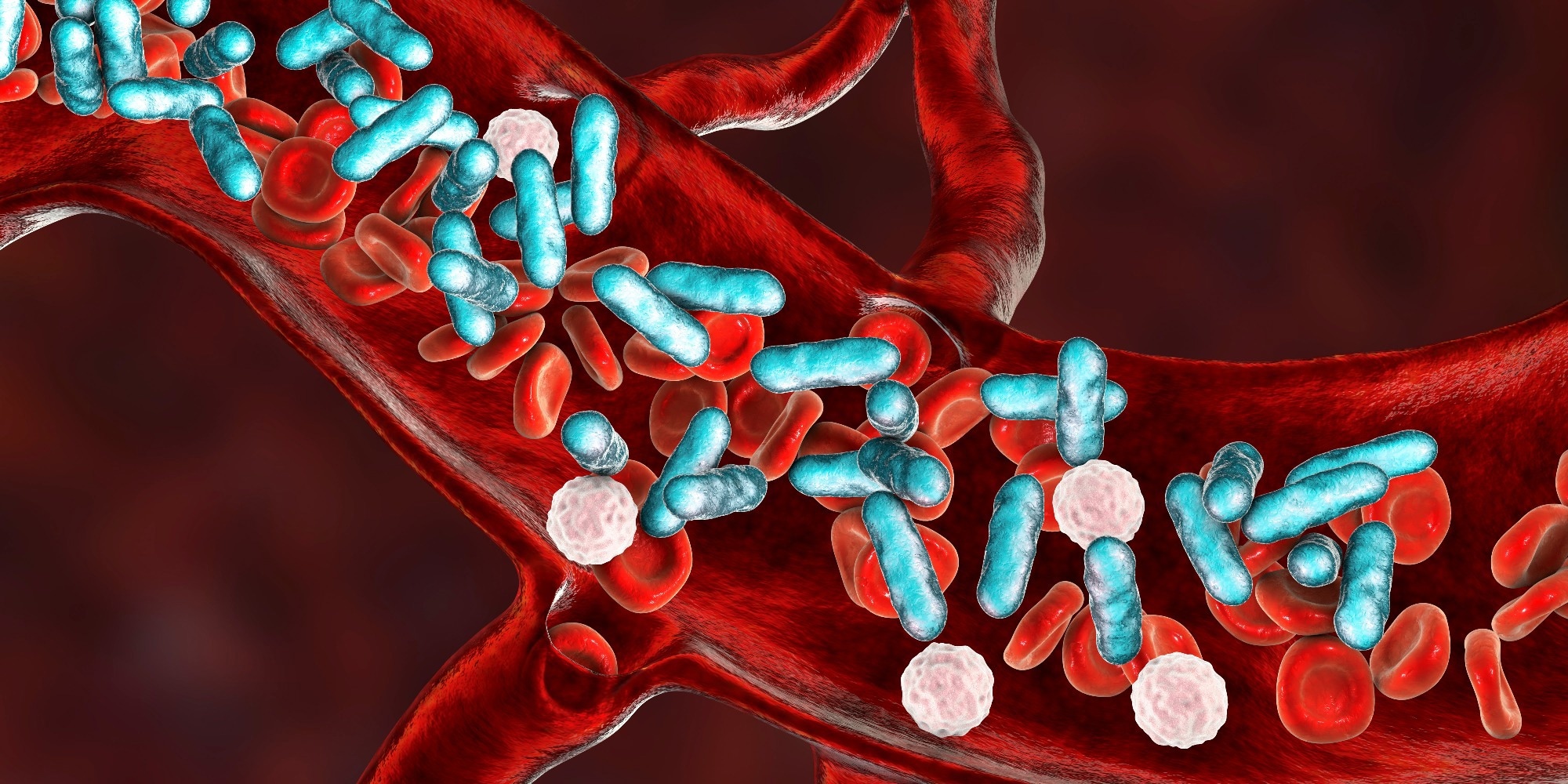 Image Credit: Kateryna Kon/Shutterstock