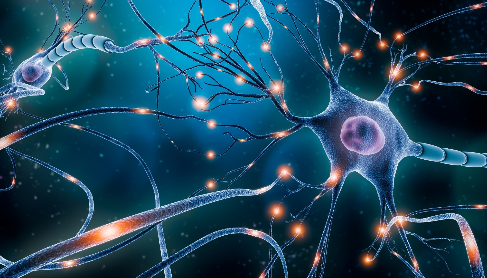 Study: The neurons that restore walking after paralysis. Image Credit: MattLphotography / Shutterstock