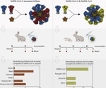 Nanoparticles displaying SARS-CoV-1 and SARS-CoV-2 spikes induce broad antibody responses in animal model
