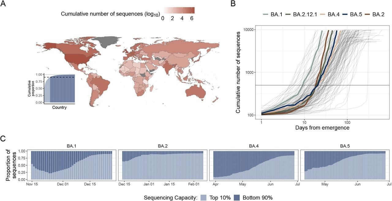 The landscape of SARS-CoV-2 genomic data and early emergent variant dynamics. (A) Shading indicates the cumulative number, in log10 scale, of SARS-CoV-2 sequences submitted to GISAID as of July 1st, 2022. (inset) Cumulative proportion of all sequences, with countries ordered by their relative contribution. Light blue indicates countries in the top 10th percentile of contributions, and dark blue indicates countries in the bottom 90th percentile of countries. (B) The cumulative number of sequences versus days from variant emergence, with variants of interest which grew rapidly after emergence highlighted in color. A gray horizontal line at 500 sequences is included to highlight the time it took to reach this level for the key variants. (C) The proportion of sequences sampled by the high sequencing capacity countries (light blue) vs. the lower sequencing capacity countries (dark blue) over time, starting from after a variant’s emergence.