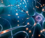 Researchers develop an artificial neuron closely mimicking the characteristics of a biological neuron