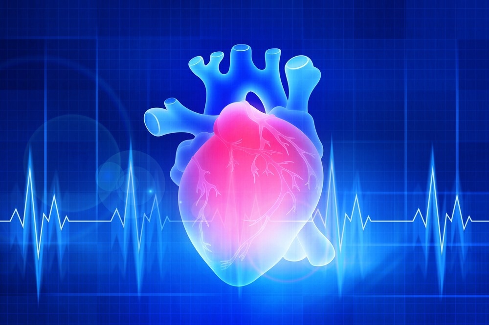 Study: Heart Disease and Stroke Statistics – 2023 Update: A report from the American Heart Association. Image Credit: Yurchanka Siarhhei / Shutterstock.com