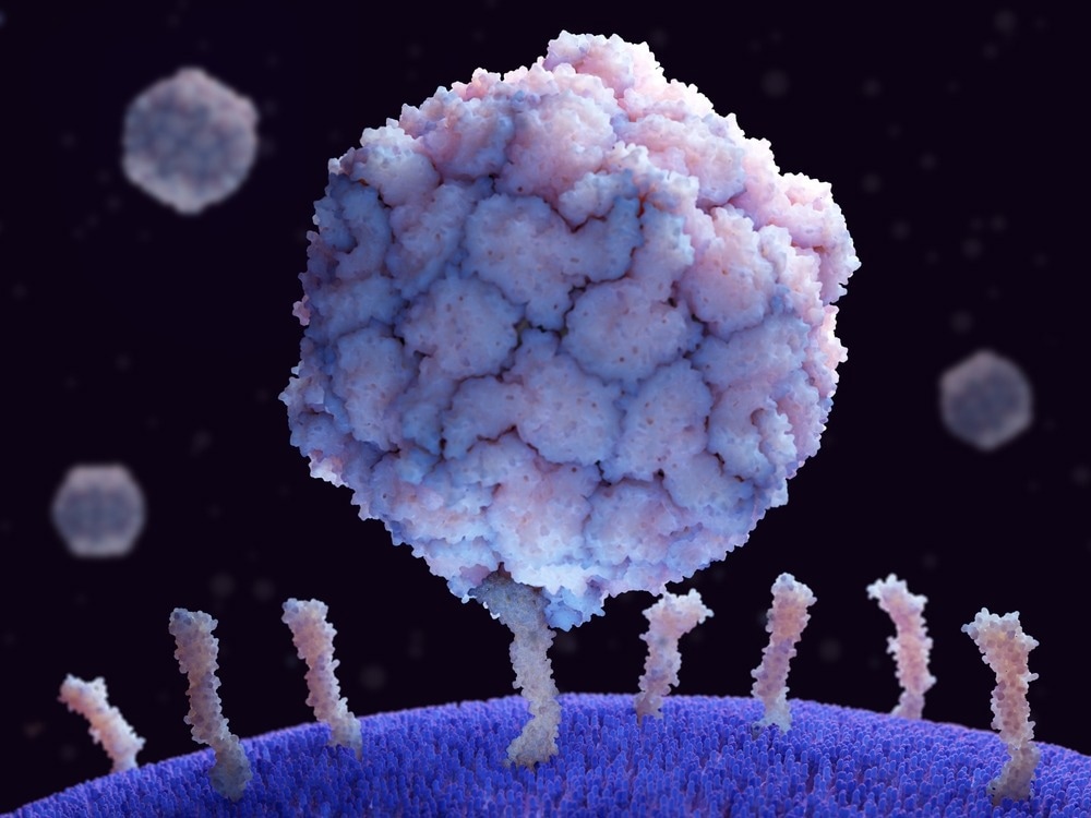 Study: Wild poliovirus type 3 (WPV3)-shedding event following detection in environmental surveillance of poliovirus essential facilities, the Netherlands, November 2022 to January 2023. Image Credit: Juan Gaertner / Shutterstock.com