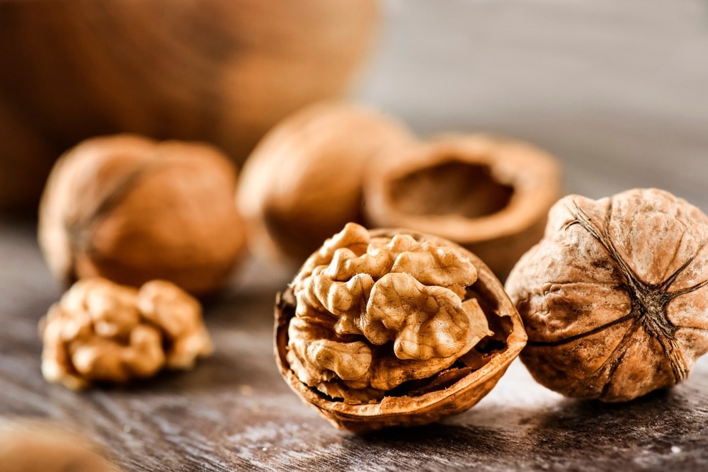 Study: Effect of Walnut Supplementation on Dietary Polyphenol Intake and Urinary Polyphenol Excretion in the Walnuts and Healthy Aging Study. Image Credit: Krasula/Shutterstock