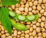 How does soy consumption affect the risk of type 2 diabetes and cardiovascular diseases?