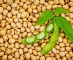 What are the gastrointestinal benefits of consuming soybean?