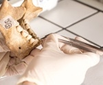 Study describes a novel, non-destructive method to extract DNA from ancient bone and tooth artifacts