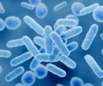 Effectiveness of Lactobacillus in treating inflammatory bowel disease