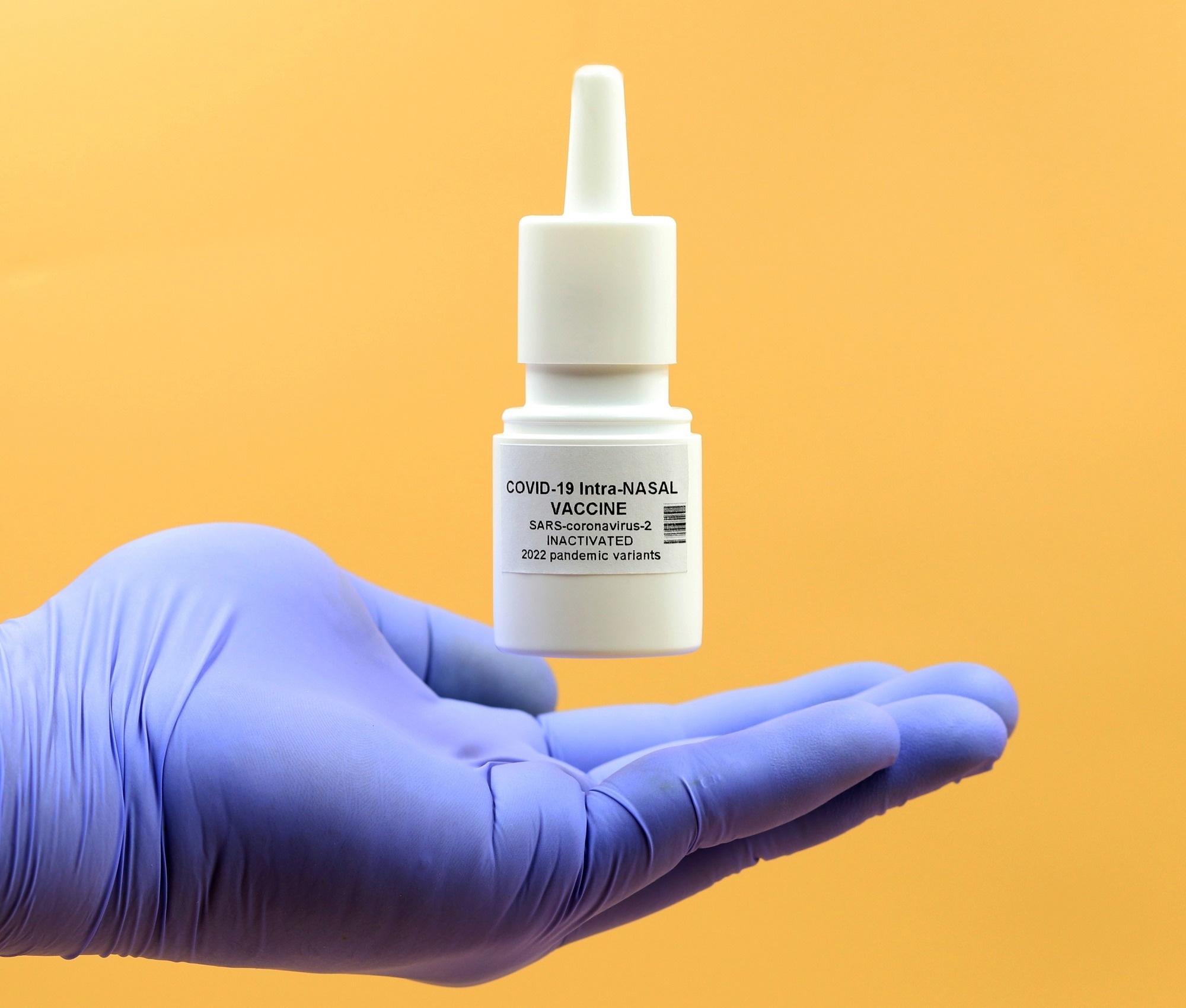 Study: A next-generation intranasal trivalent MMS vaccine induces durable and broad protection against SARS-CoV-2 variants of concern. Image Credit: TopMicrobialStock / Shutterstock
