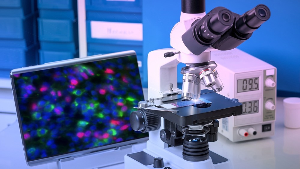 Image Credit: tilialucida/Shutterstock.com