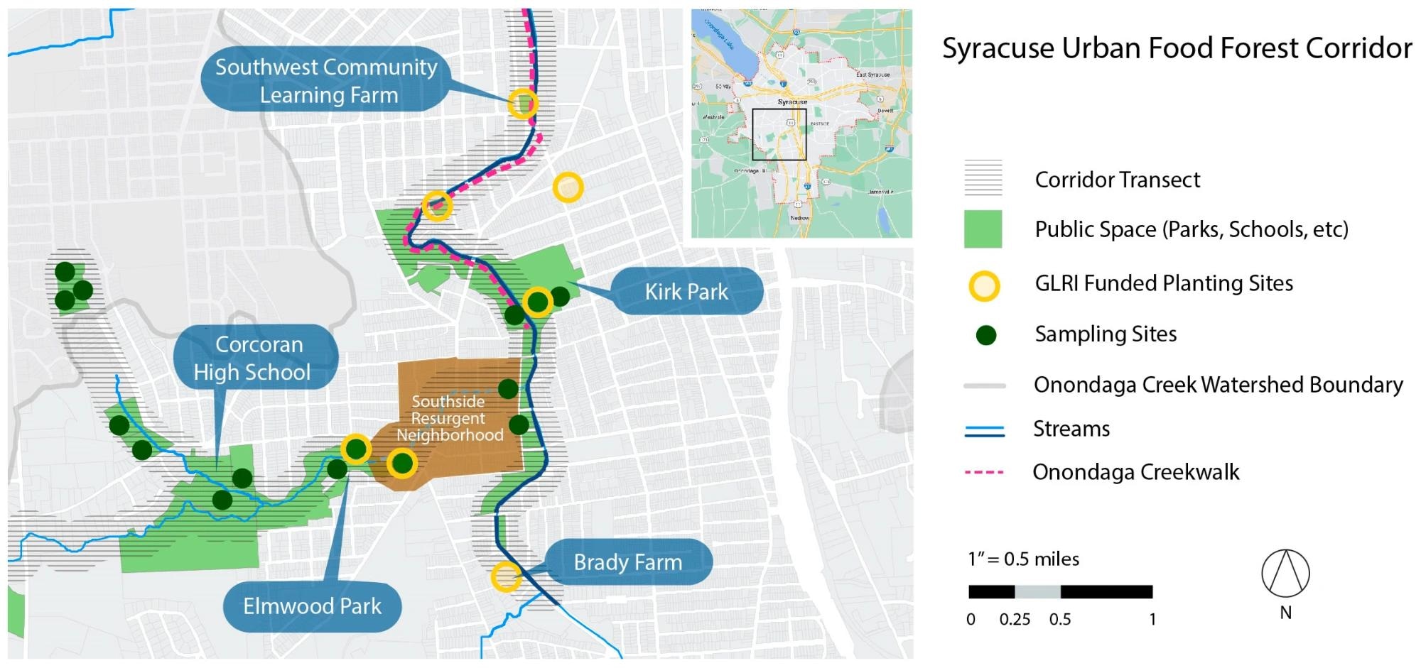 Syracuse Urban Food Forest Project (SUFFP), Riparian Forest Corridor along Furnace Brook and Onondaga Creek on Southside of Syracuse, NY.