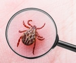 Lyme disease aftercare: new insights into persistent symptoms