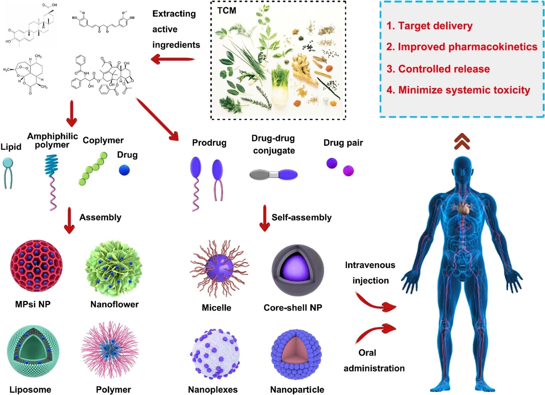 Structural illustration of applications in nanodrugs of TCMs