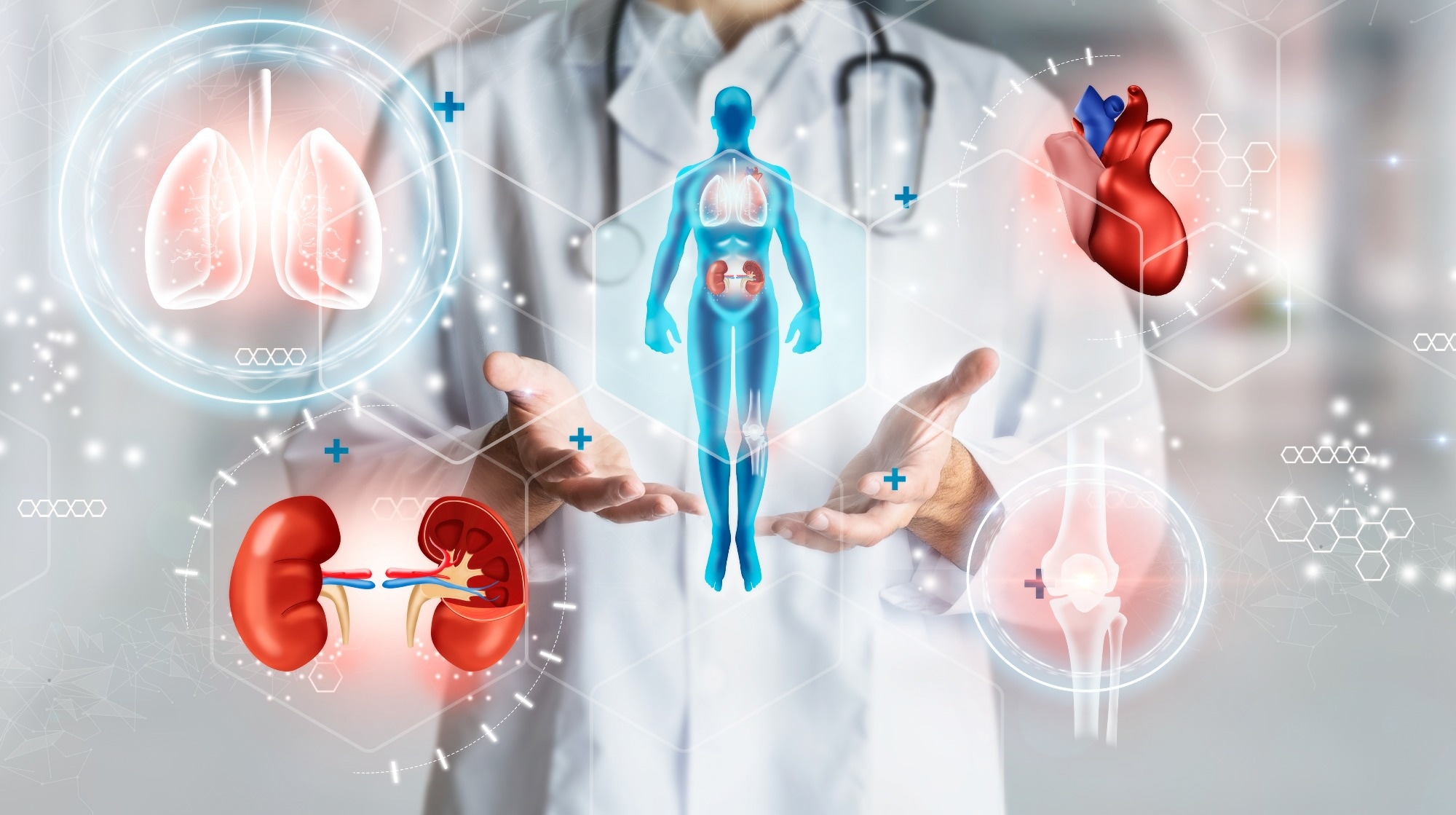 Study: Organ aging signatures in the plasma proteome track health and disease. Image Credit: Icruci / Shutterstock