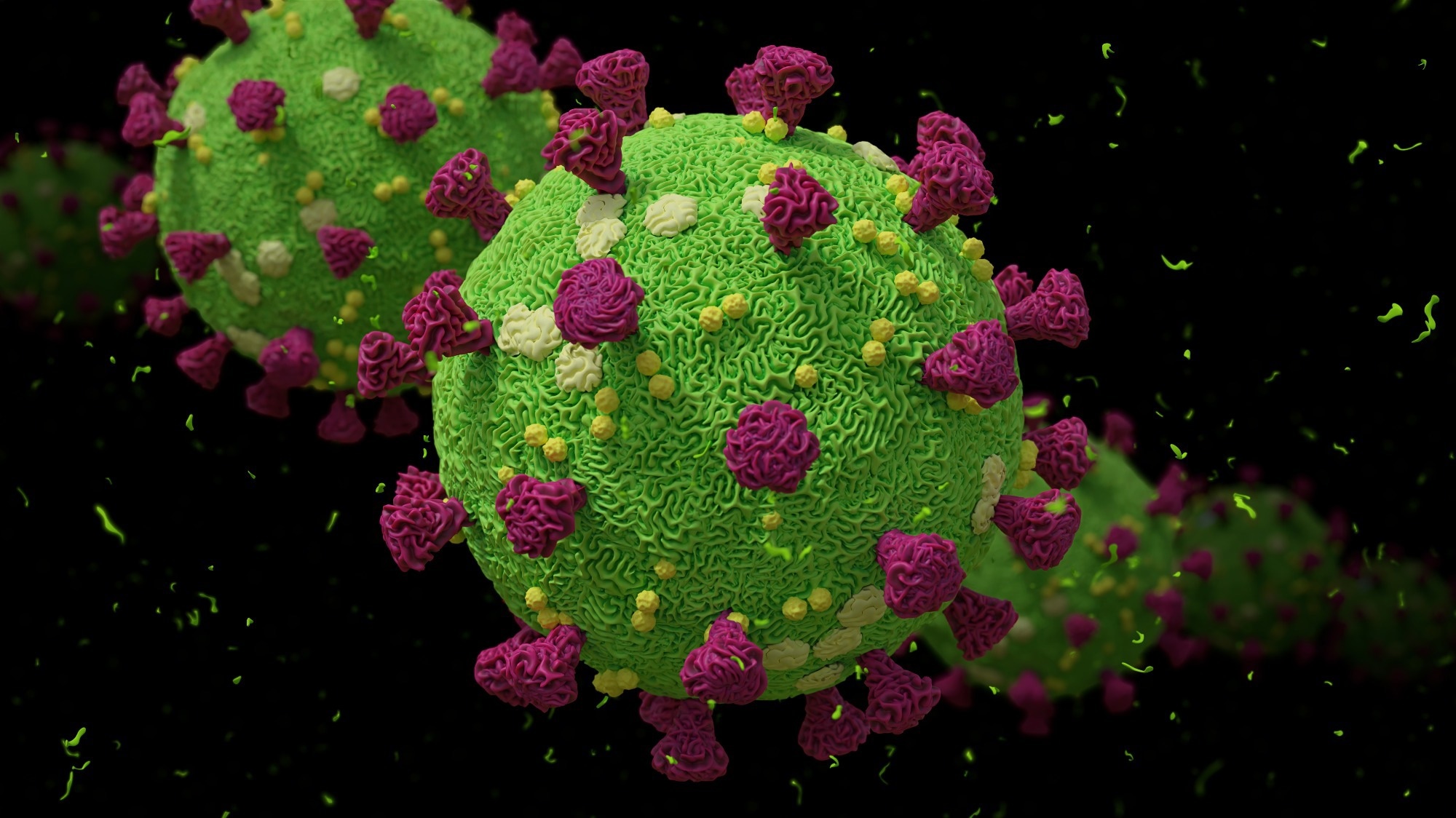 Study: Interstitial macrophages are a focus of viral takeover and inflammation in COVID-19 initiation in human lung. Image Credit: Dotted Yeti / Shutterstock