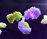 Novel bispecific antibodies show promise against evolving SARS-CoV-2 variants