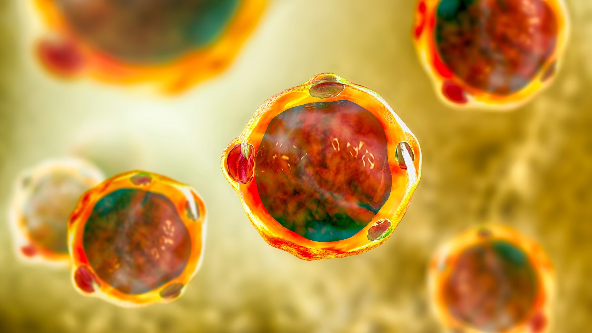 Study: Intestinal Blastocystis is linked to healthier diets and more favorable cardiometabolic outcomes in 56,989 individuals from 32 countries. Image Credit: Kateryna Kon / Shutterstock