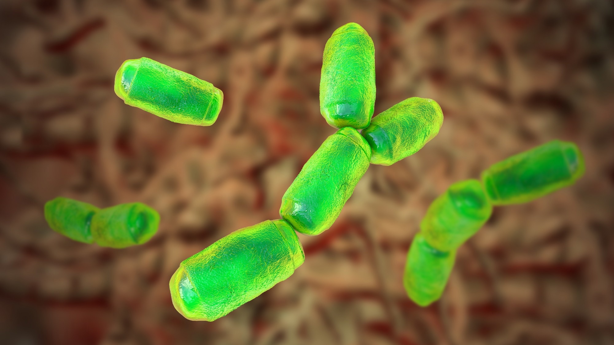 Perspective: Archaea in the Human Microbiome and Potential Effects on Human Infectious Disease. Image Credit: Kateryna Kon / Shutterstock