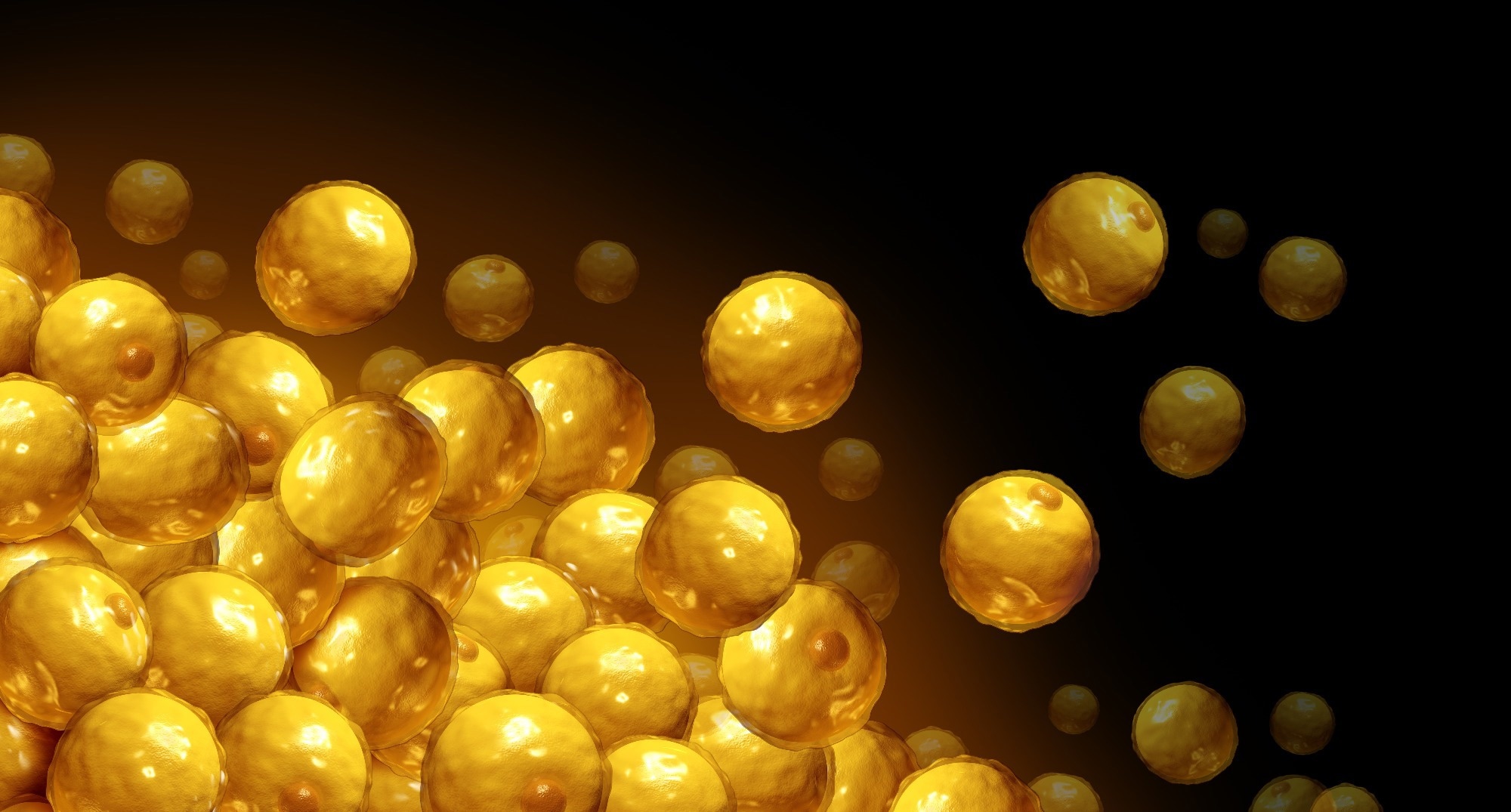 Perspective: The challenges of assessing adiposity in a clinical setting. Image Credit: Lightspring / Shutterstock