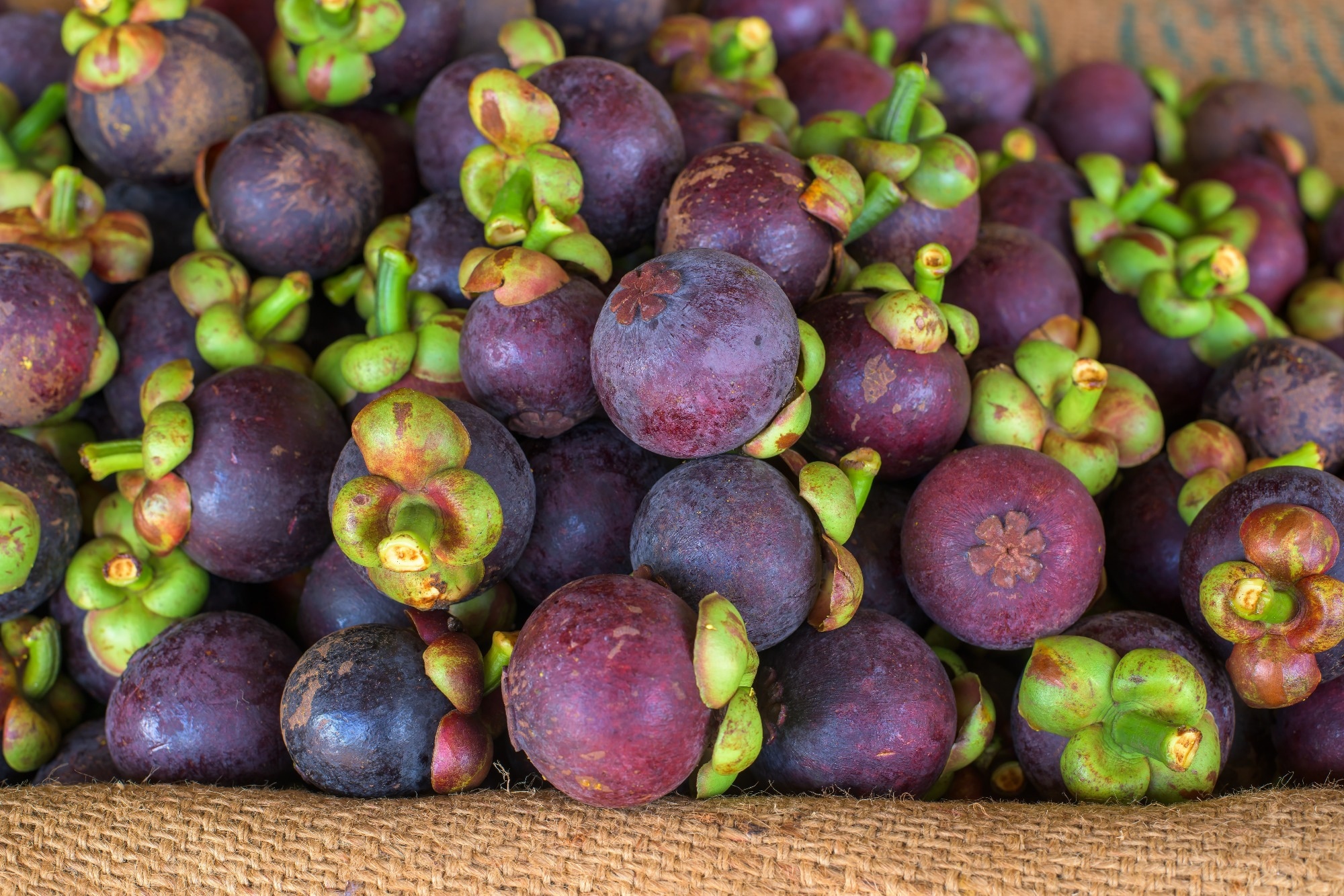 Review: Exploring the Therapeutic Potential of Xanthones in Diabetes Management: Current Insights and Future Directions. Image Credit: PhilipYb Studio / Shutterstock