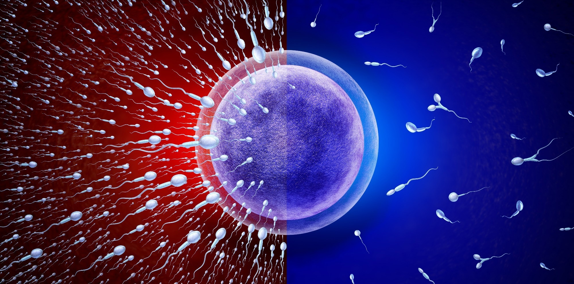 Study: A new model for determining risk of male infertility from serum hormone levels, without semen analysis. Image Credit: Lightspring / Shutterstock.com
