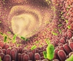 Gut microbiota plays a crucial role in type 2 diabetes management
