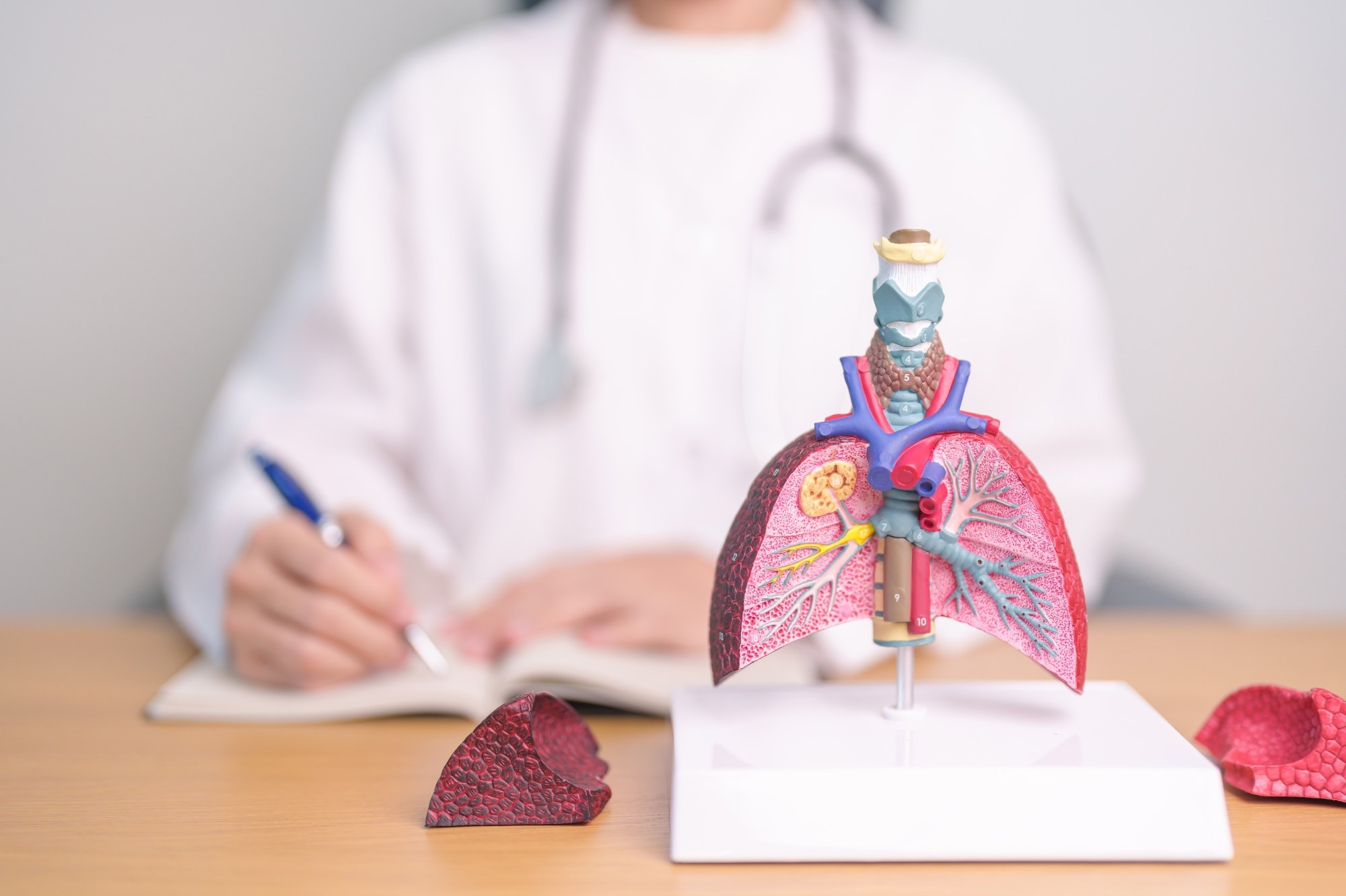 Study: Development and validation of a mortality risk prediction model for chronic obstructive pulmonary disease: a cross-sectional study using probabilistic graphical modelling. Image Credit: Jo Panuwat D/Shutterstock.com