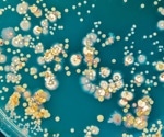 Scientists reveal global catalog of microbial small proteins, unlocking microbiome secrets