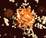 Study reveals population-wide immune setpoint for SARS-CoV-2 antibodies