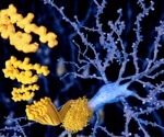 Amyloid-β and tau disrupt brain activity, driving early cognitive decline in Alzheimer’s risk