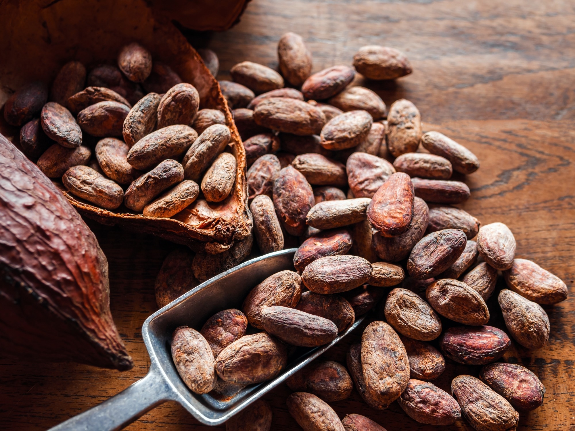 Study: Cocoa flavanols rescue stress-induced declines in endothelial function after a high-fat meal, but do not affect cerebral oxygenation during stress in young, healthy adults. Image Credit: Narong Khueankaew/Shutterstock.com