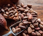 Stress, diet, and vascular health: Can cocoa flavonols help?