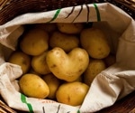 Potato consumption not linked to heart disease or hypertension